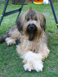 25.09.2011: knapp 14 Monate alt