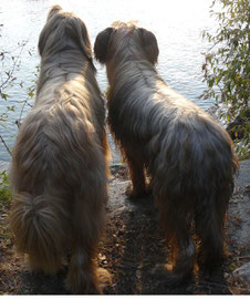 Abschied vom  Sommer.....