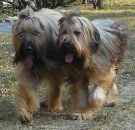 ... wir sind ein eingespieltes Team...!