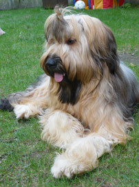 25.09.2011: knapp 14 Monate alt