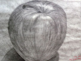 Apfel, in Schwarz -Weiss, Bleistift mit Kugelschreiber auf Papier 100x70                   흑백의 사과, 종이에 연필과 볼펜  100x70