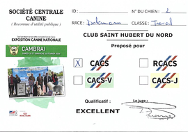 CACS - CACT