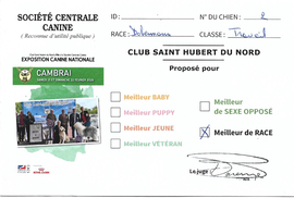 MEILLEUR DE RACE