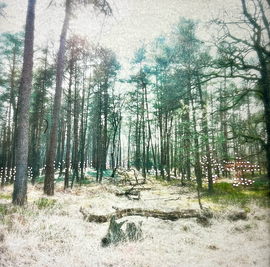 Dreamscapes 2025 archival matte holes