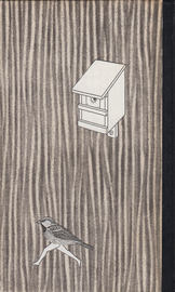 there is no home for us, 2024