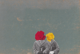 twins, 2016