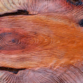 "Résonnance" sculpture en séquoia - Hauteur 2m - détail