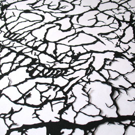 CRACKS Detail