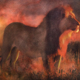 Leone rosso - Tecnica mista su carta - 20x28