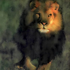 Leone - Tecnica mista su carta - 30x40