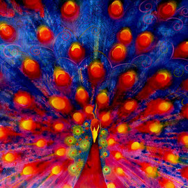 Pavone rosso - Tecnica mista su carta - 35x50