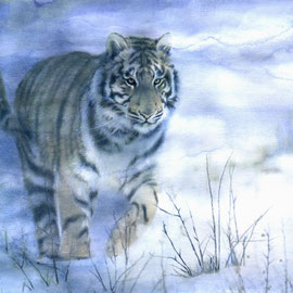 Tigre nella neve - Tecnica mista su carta - 30x40