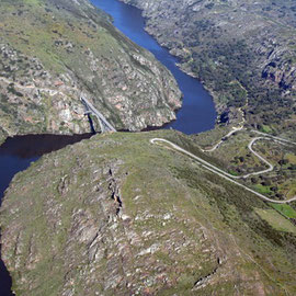 PUENTE DE PINO SOBRE DUERO