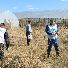 作業1日目。まず、一面の草刈から