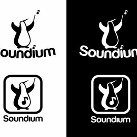 Logo pour application musicale Soundium