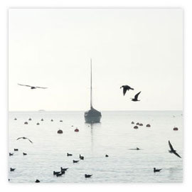 009a Zürisee Segellboot 001