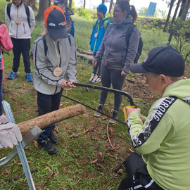 Waldjugendspiele