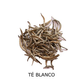 te-blanco-silver-needle-antioxidante