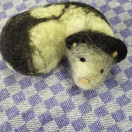 Maus von einem Mädchen ab 2. Klasse