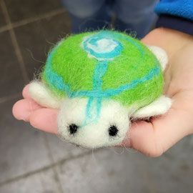 Schildkröte von einem Mädchen ab 6. Klasse