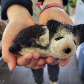Hund von einem Mädchen ab 3. Klasse