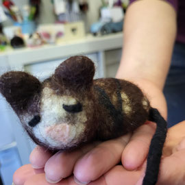 Katze von einem Mädchen ab 3. Klasse