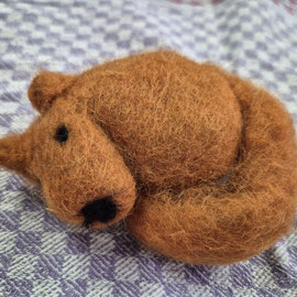 Filzeichhörnchen ab 4. Klasse 