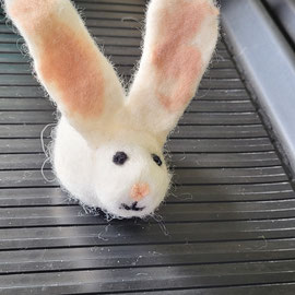 Hase von einem Mädchen ab 3. Klasse