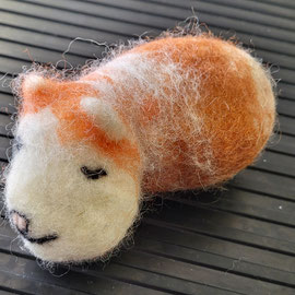 Meerschweinchen von einem Mädchen
