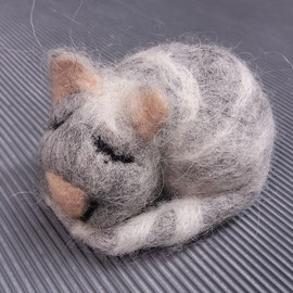 kleine Katze ab 3. Klasse