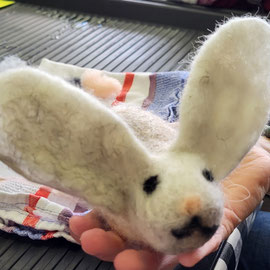 Hase von einem Mädchen ab 3. Klasse
