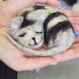 Katze von einem Mädchen ab 3. Klasse