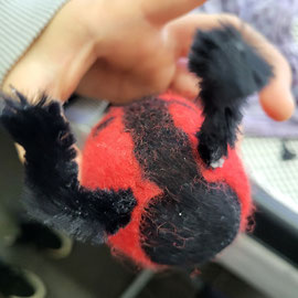 Marienkäfer von einem Mädchen ab 2. Klasse