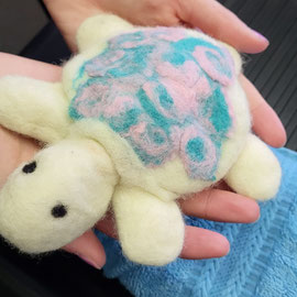 Schildkröte von einem Mädchen ab 6. Klasse