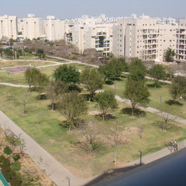 Vue sur parc