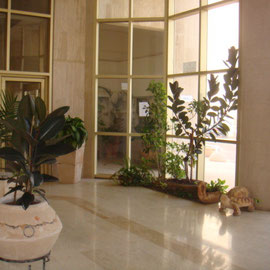 Hall