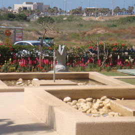 Jardin fleuri