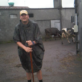 Begegnung mit galizischen Kühen