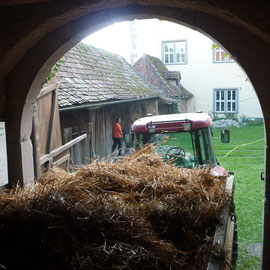 Das alte Stroh wurde auf Wägen verladen...