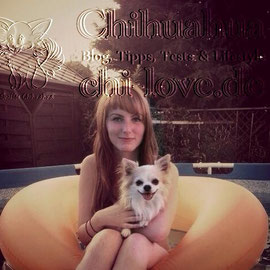 Chi-Love.de | BLOG | Magazin | Chihuahua-Planschparade | Chihuahuas im Wasser | 