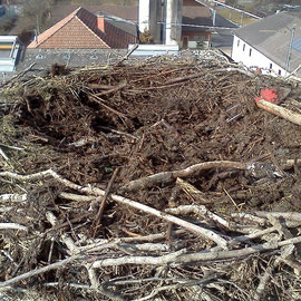 Erdmaterial muss entfernt werden                                  Foto: Robert Gattringer