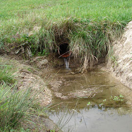 Über Drainagerohre kommt es zur Einschwemmung von Feinsedimenten.