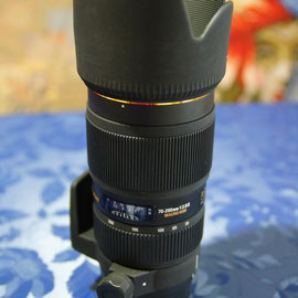 Sigma EX 70-200 1:2.8 II Makro HSM mein aktueller Markt- und Konzertbegleiter für die Ferne