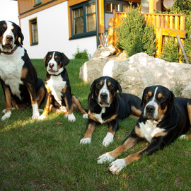 Luna, Curly-Sue, Alegra, Betty-Blue,