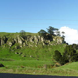 Limestone Formationen in der Naehe des Port Waikato