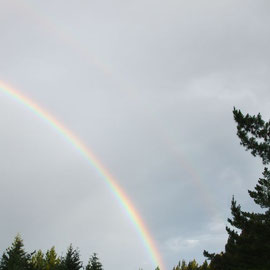 Ein Regenbogen in Te Anau