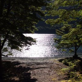 Narn Hitothel (North Mavora Lake)