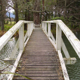 Die Brücke aus Lothlorien