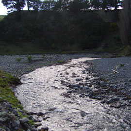 Fluss in der Wairapa