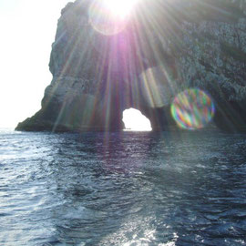 Hole in the Rock in der Bay of Islands